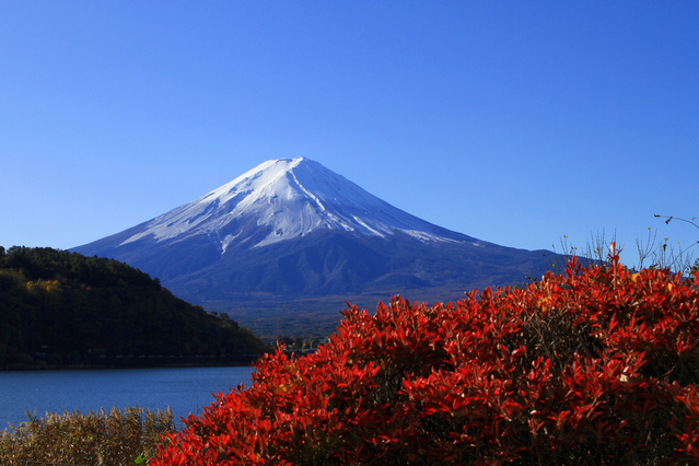富士山のページへ