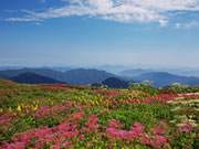 伊吹山のページへ