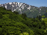 谷川岳のページへ