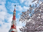 東京タワーのページへ