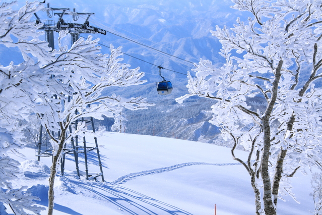 【1泊目萬国屋泊】月山・鳥海山・蔵王山と国宝羽黒山・五重塔御開扉特別参拝 心に残る絶景遊覧3日間のツアー詳細へ